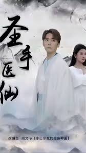 圣手医仙61-80集