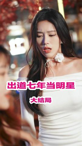 出道七年当明星21-40集