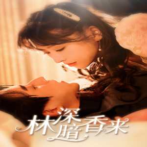 林深暗香来全集(大结局)