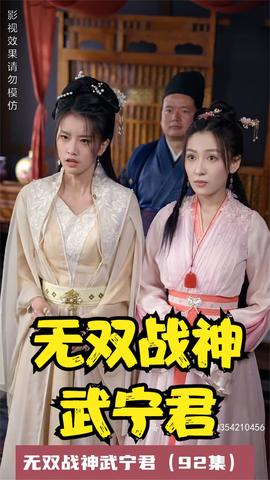 无双战神武宁君全集(大结局)