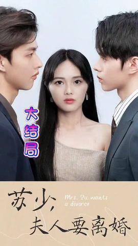苏少！夫人要离婚全集(大结局)