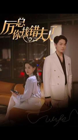 厉总，你找错夫人了21-40集