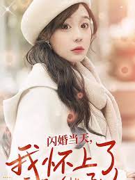 闪婚当天，我怀上了豪门继承人41-60集