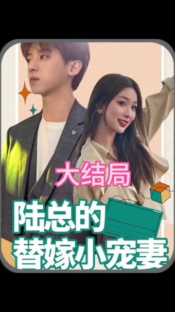 陆总的替嫁小娇妻41-60集