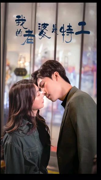 我的老婆是特工41-60集