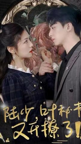 陆少，叶秘书又开撩了26-42集