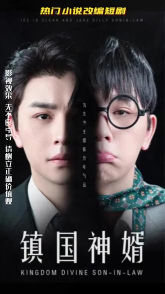 镇国神婿41-60集