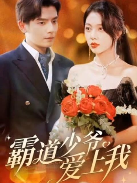 霸道少爷爱上我41-60集